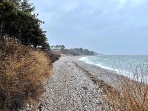 Een grindpad langs de kust, met bomen en de oceaan op de achtergrond.