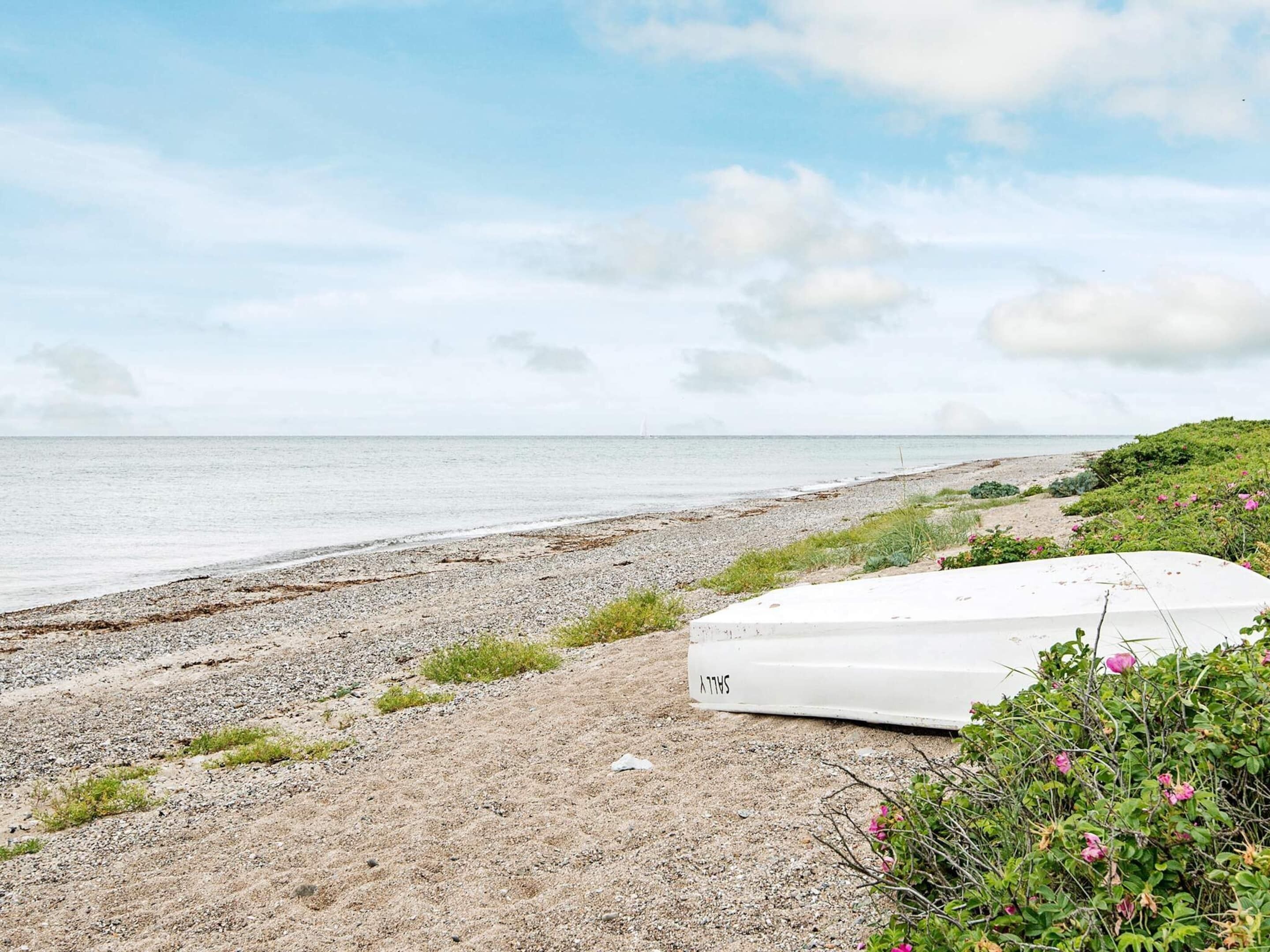 Ferienhaus | Blick von der Unterkunft
