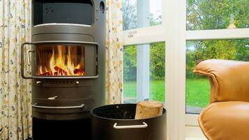 A wood-burning stove with a visible fire, a window with a view of greenery, and a leather chair.
