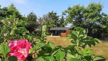 House | View from property