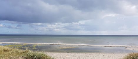 En strand med en sandstrand och gräsklädda sanddyner.