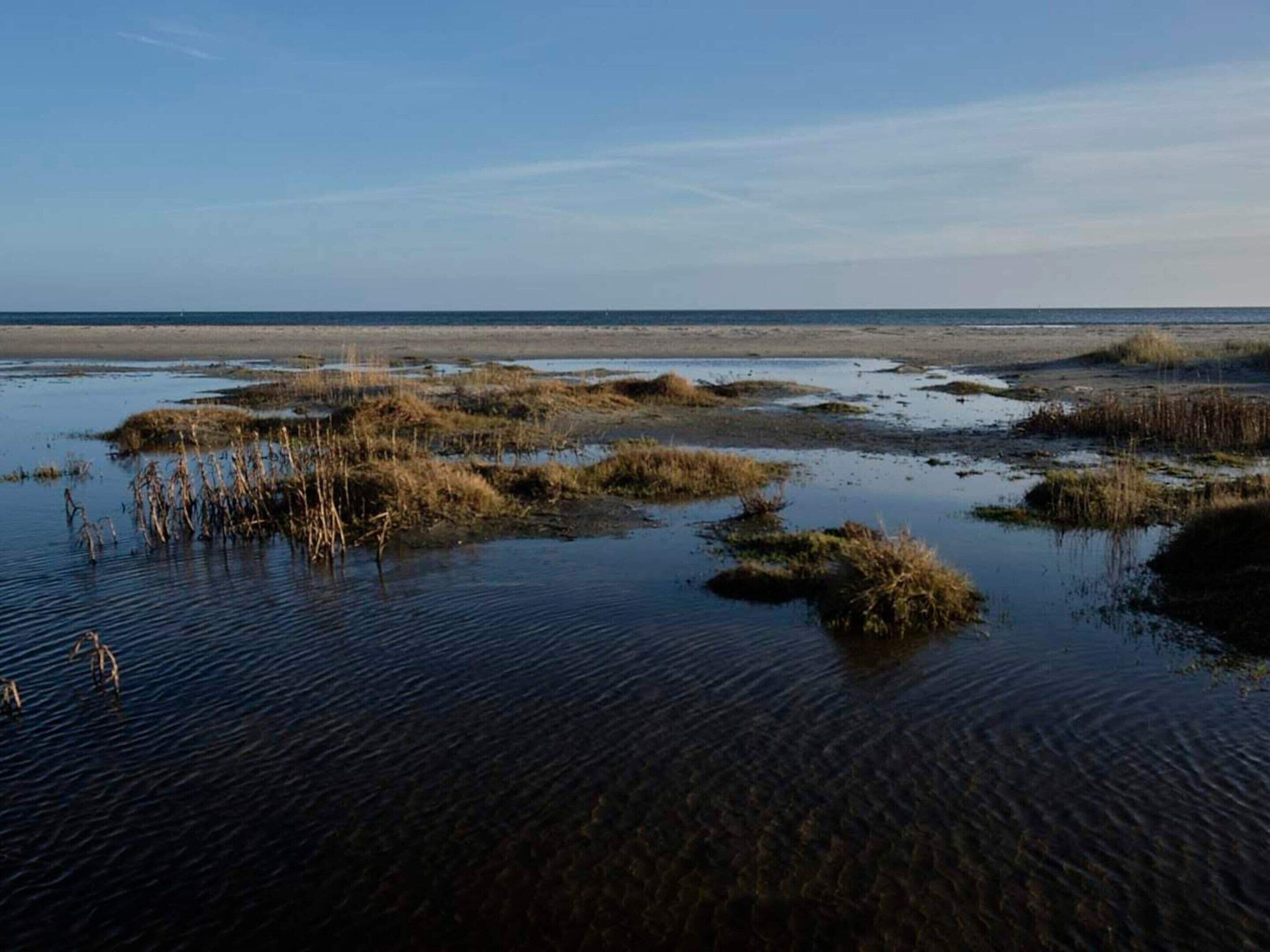 A coastal landscape with water, vegetation, and a distant horizon.