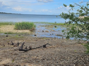 A natural landscape with a body of water, pebbles, and vegetation.
