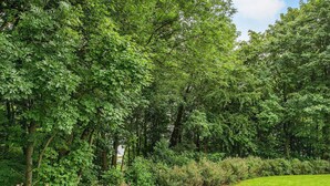 Un paisaje exuberante y verde con una variedad de árboles y arbustos, un cielo despejado y un área de césped bien cuidada.