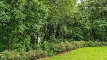 Casa | Vista al agua