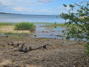 A natural landscape with a body of water, pebbles, and vegetation. - 4 Star Holiday Home in Aabenraa (Aabenraa)