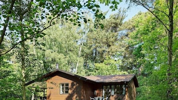 A wooden cabin with a porch and two chairs, surrounded by dense forest.