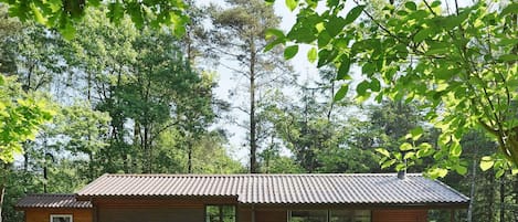 Ferienhaus | Außenbereich