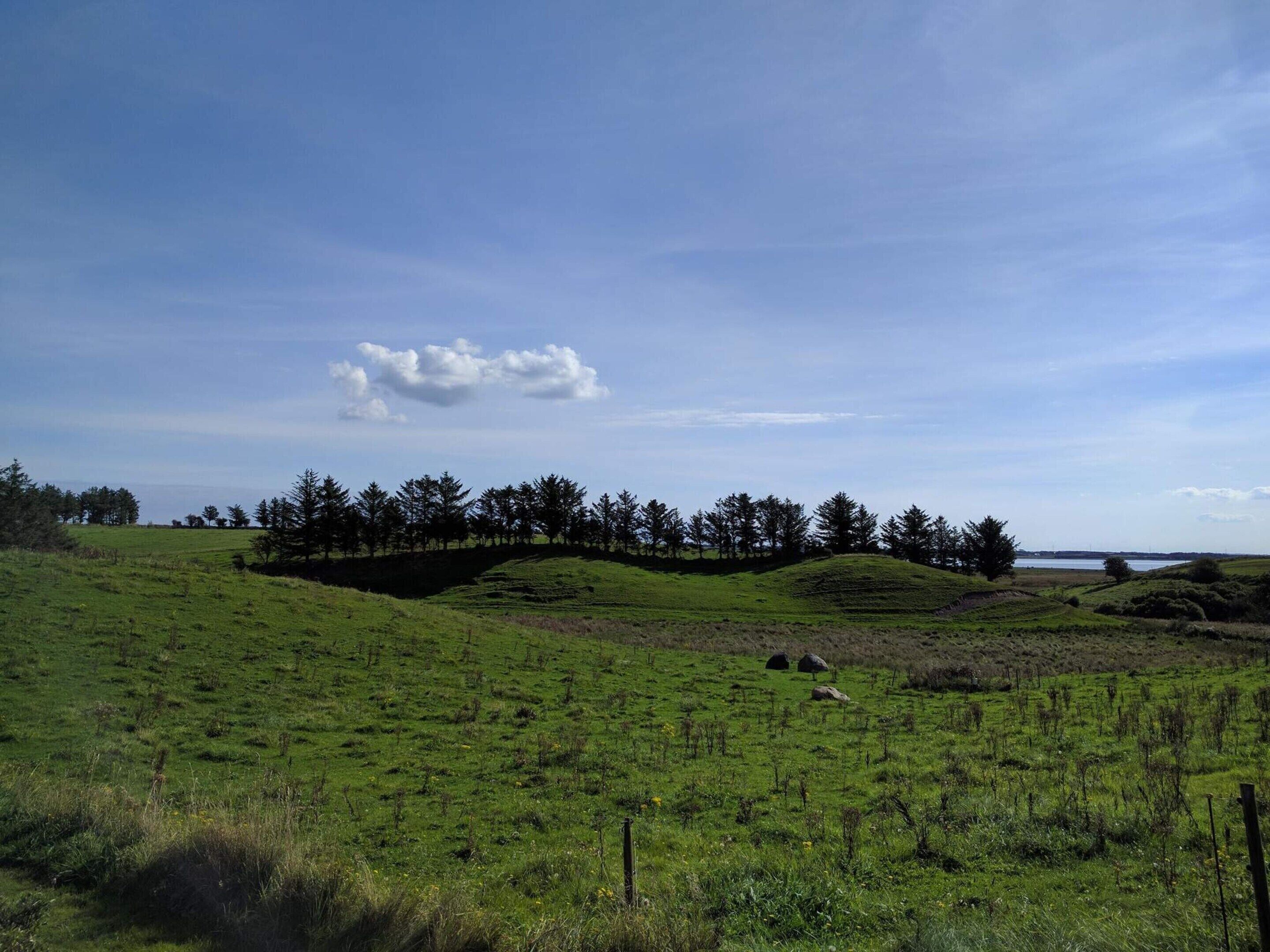 A grassy field with a small hill and a body of water in the distance.