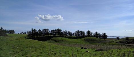 A grassy field with a small hill and a body of water in the distance.