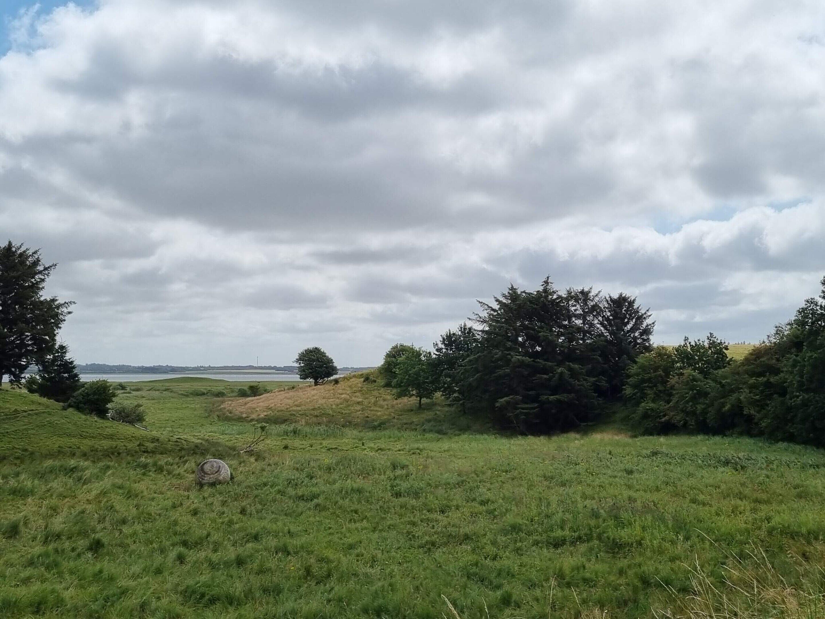 Eine grüne Wiese mit Bäumen und einer entfernten Wassersicht unter bewölktem Himmel.