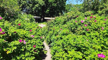 Hus | Overnatningsstedets område