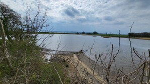 A river with a sandy bank and sparse vegetation. - 4 Star Holiday Home in Bjert (Bjert)