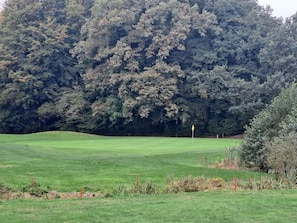 A golf course with a well-maintained green, a flagstick, and dense trees in the background. - 6 Person Holiday Home in Toftlund (Toftlund)