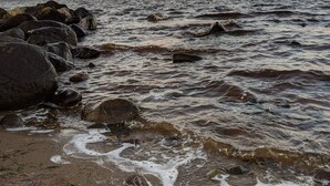 A rocky shoreline with waves crashing onto the sand. - 6 Person Holiday Home in Tarm-by Traum (Tarm)