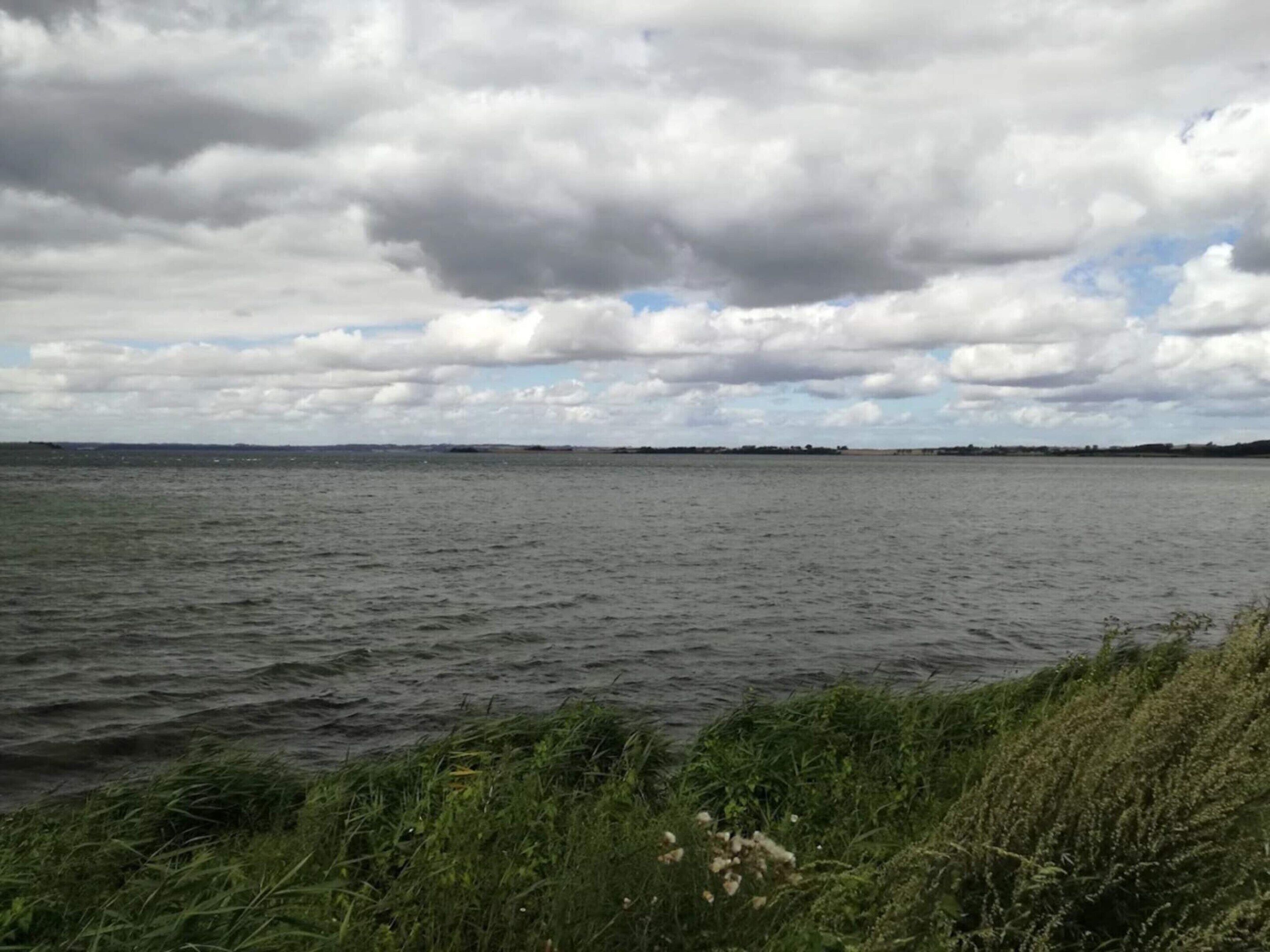 A body of water with a grassy shoreline and a cloudy sky.