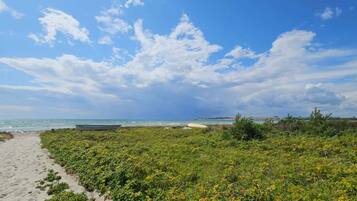 Hus | Strand