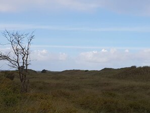 House | Miscellaneous