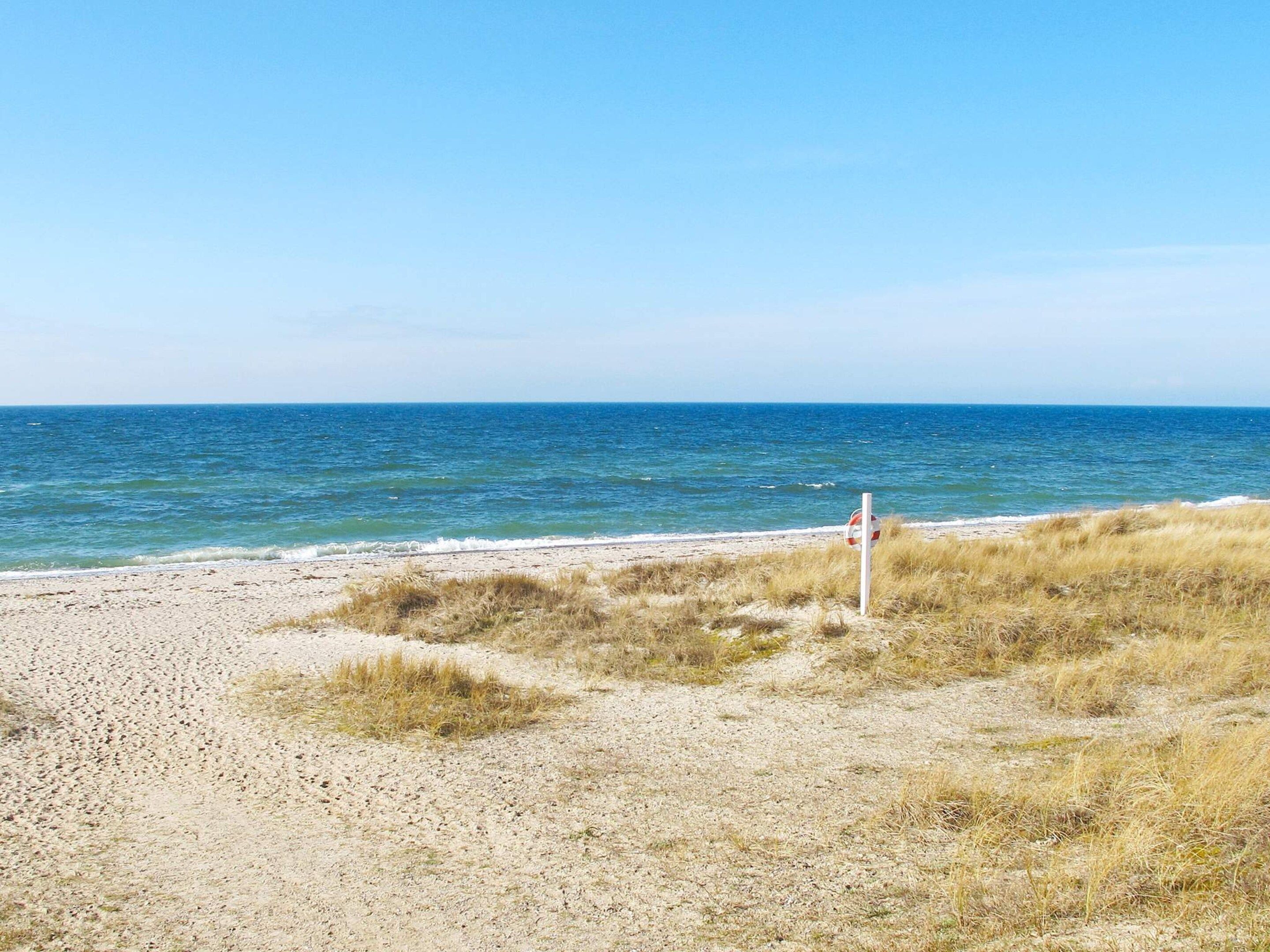 A beach with a sandy shore and a grassy area in the foreground.