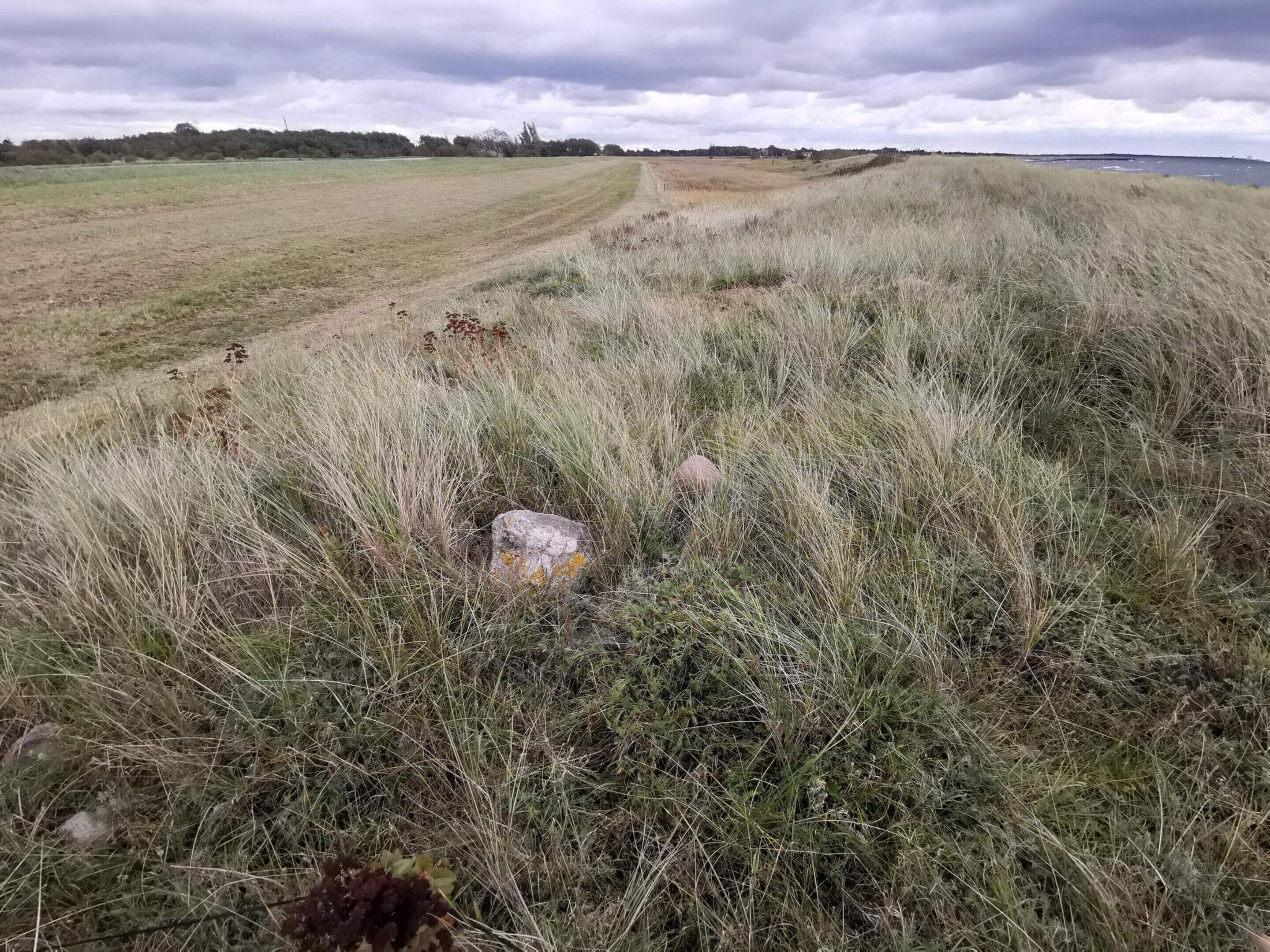 Ein grasbewachsenes Feld mit einem Pfad zu einem Gewässer.