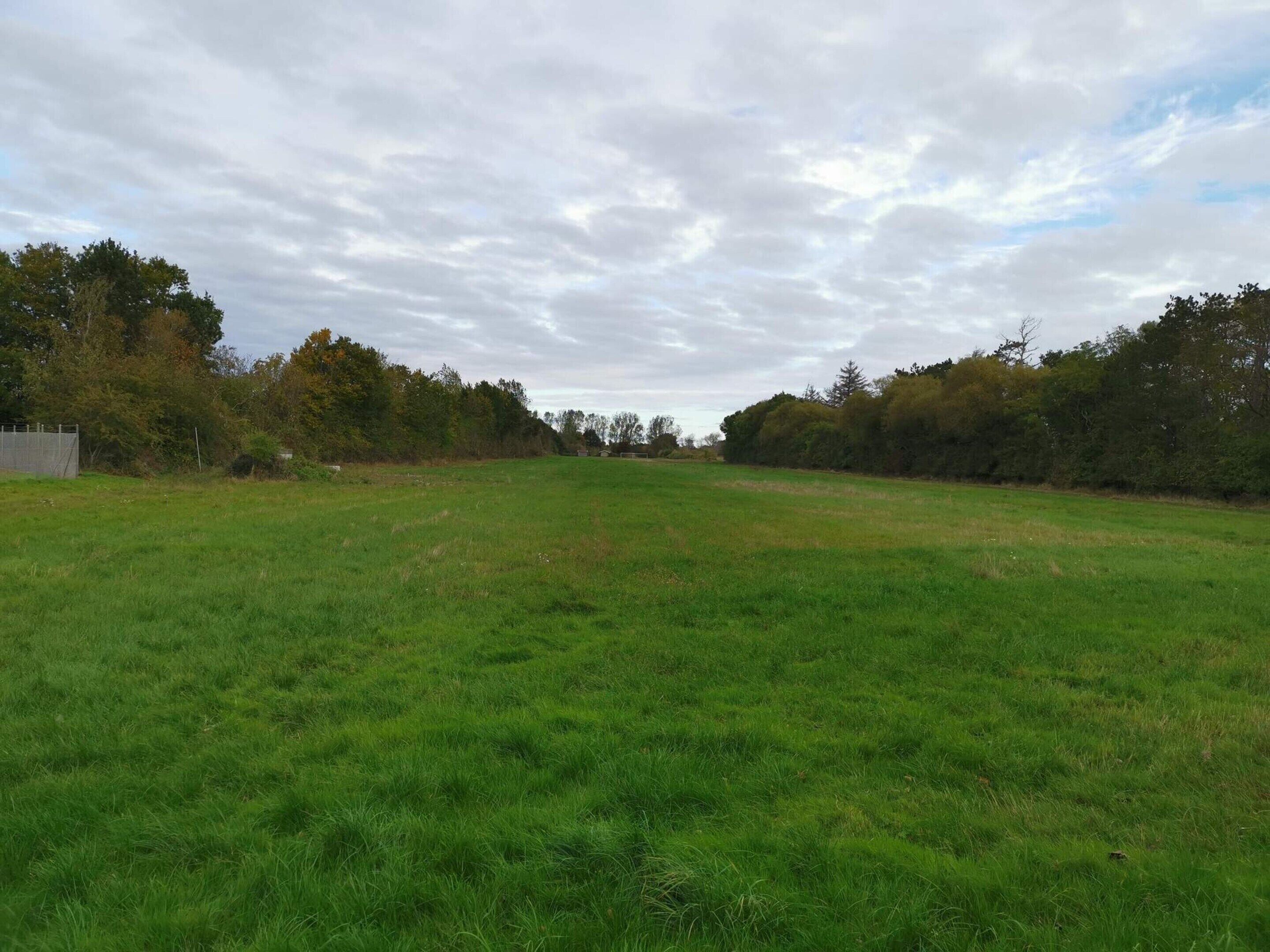 A grassy field with trees in the background.