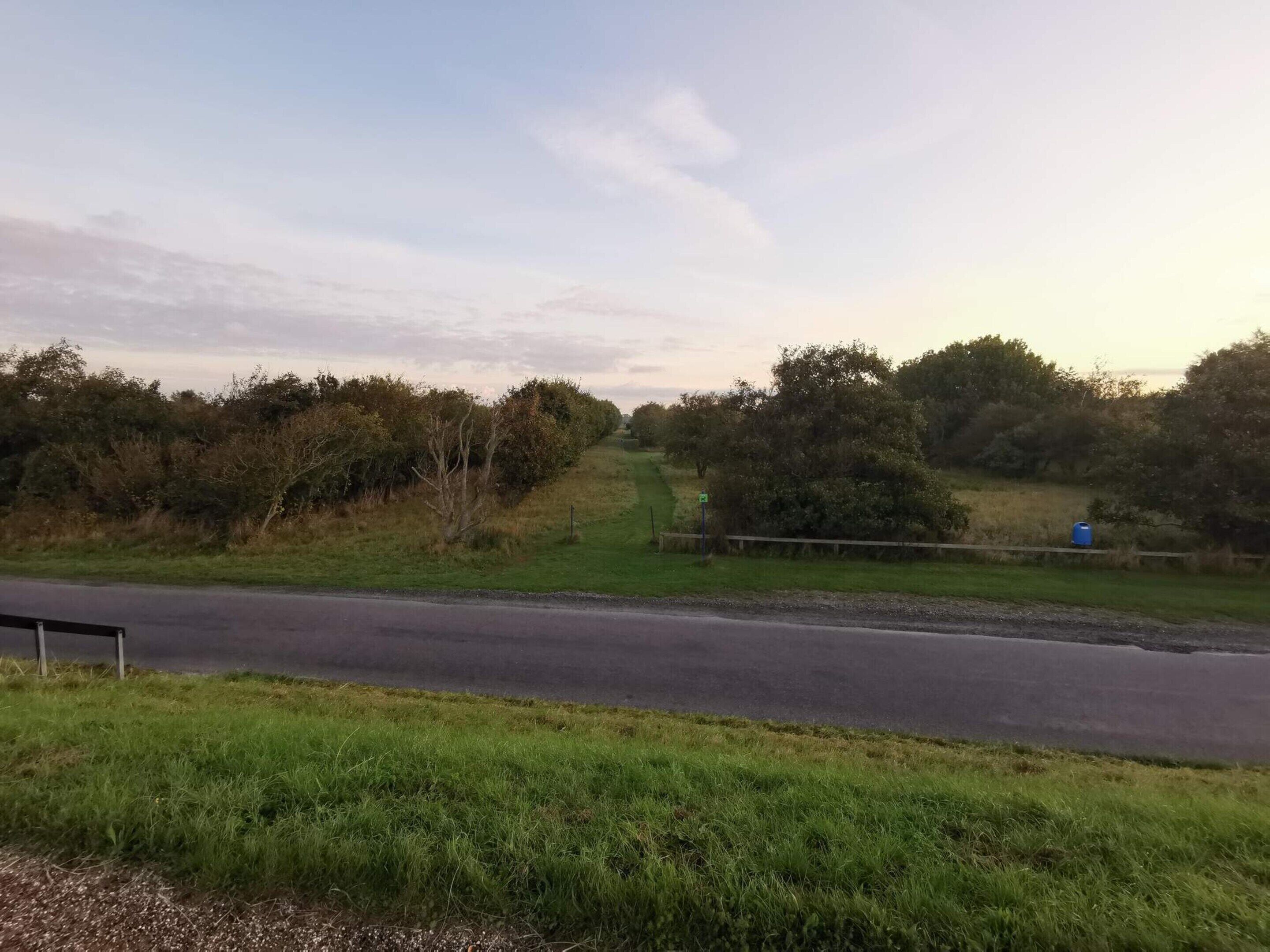 A rural road with grassy areas and trees on both sides.