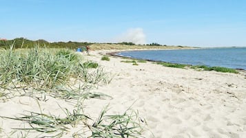 House | Beach