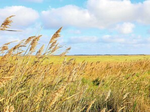 Maison | Vue depuis lâhĂ©bergement