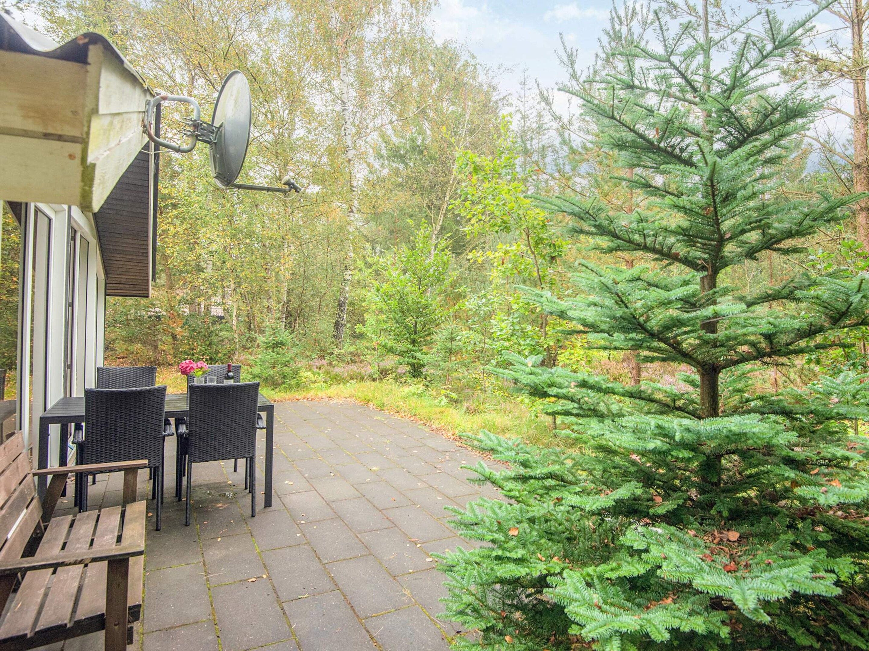 A patio with a table and chairs, surrounded by trees and a small coniferous tree.
