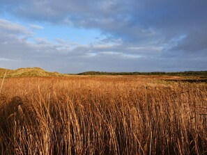 單棟房屋 | 其他設施