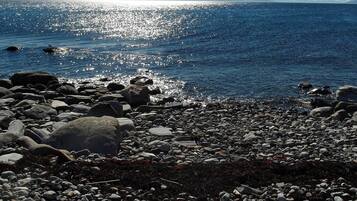 House | Beach | Fishing