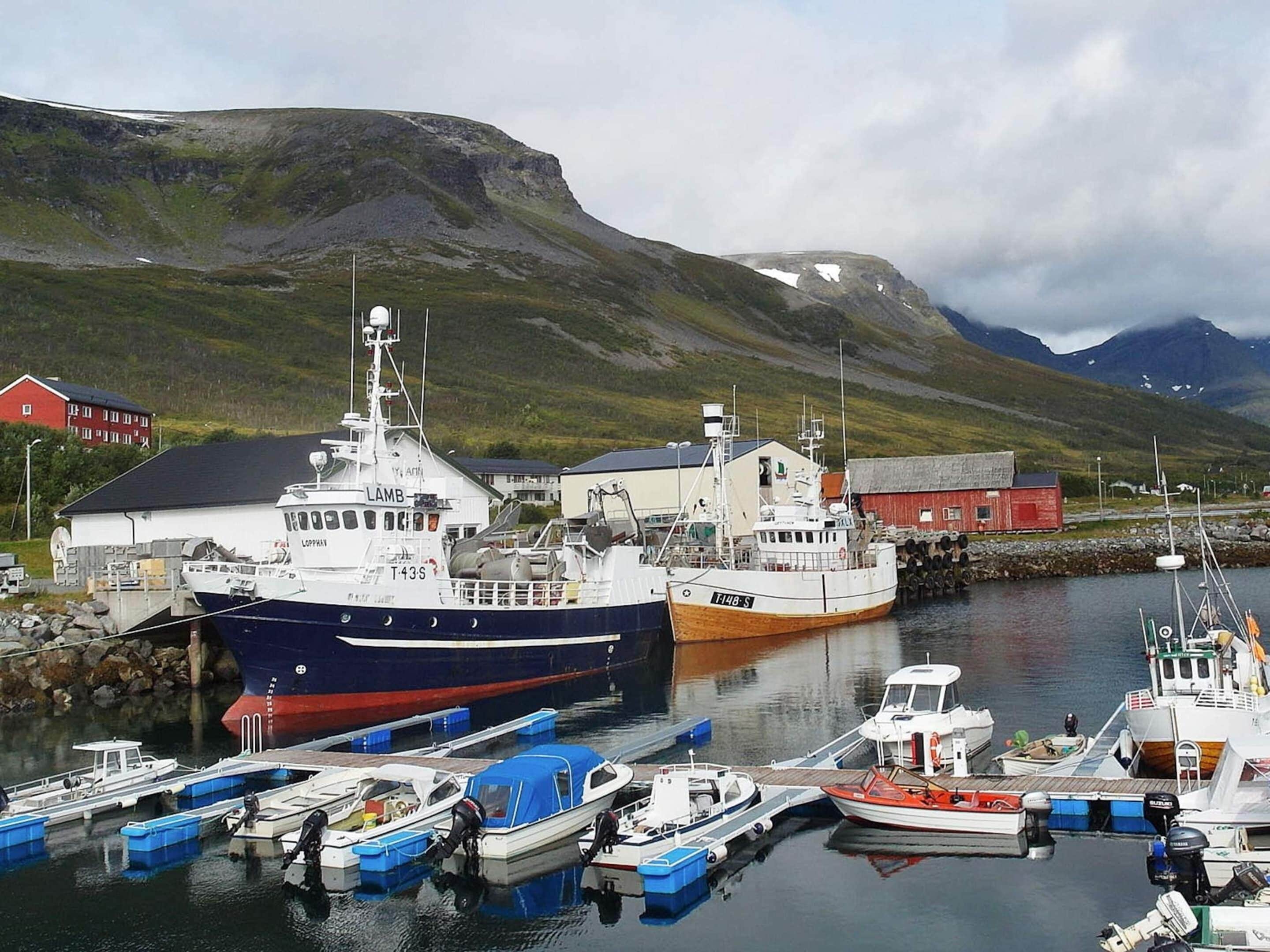 Talo | Huvivenesatama