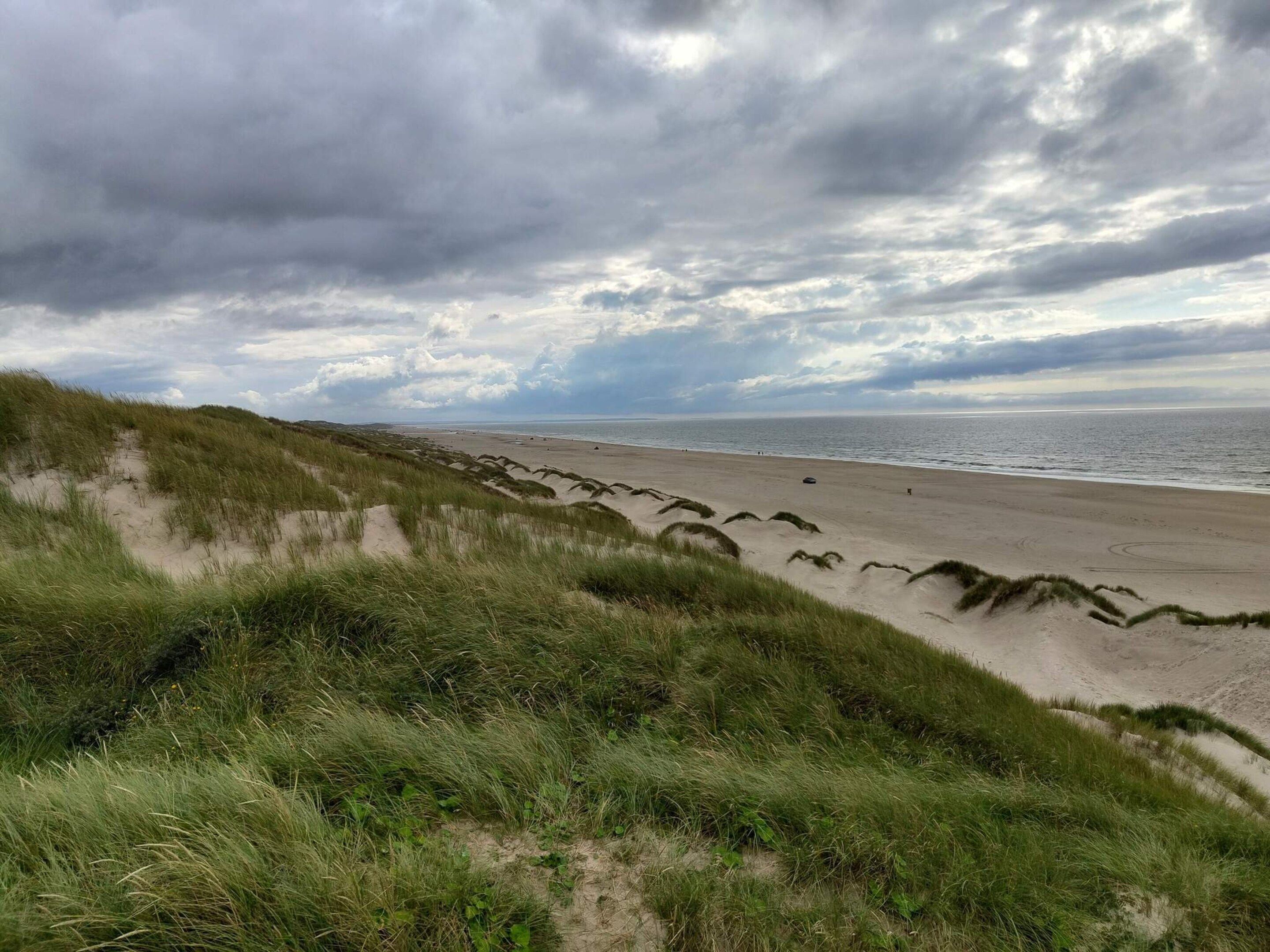 House | Beach