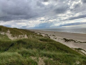 Une plage avec des dunes de sable et des zones herbeuses.