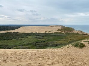 Un paysage côtier caractérisé par des dunes de sable, une végétation verdoyante et une vue sur la mer.