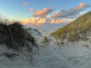 Un sentier de sable qui longe la plage et mène à l’océan, avec des dunes de chaque côté.