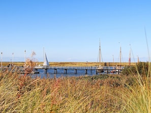 A pier extending into a body of water with boats and a sailboat docked. - Holiday Home in Wendtorf (Wendtorf)