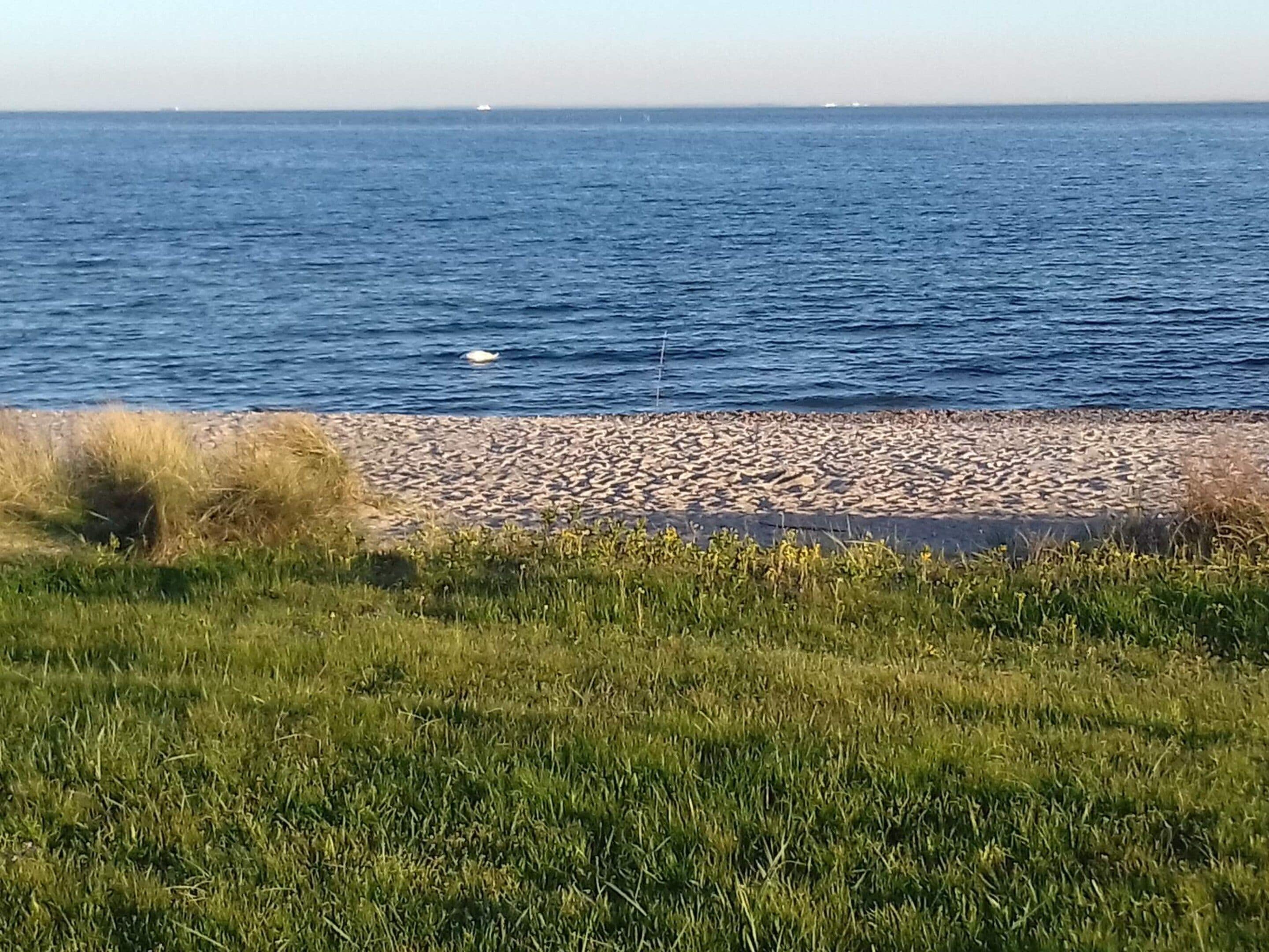 Een kustlandschap met een kiezelstrand en een gazon op de voorgrond.