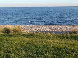 A coastal landscape with a pebble beach and grassy foreground.