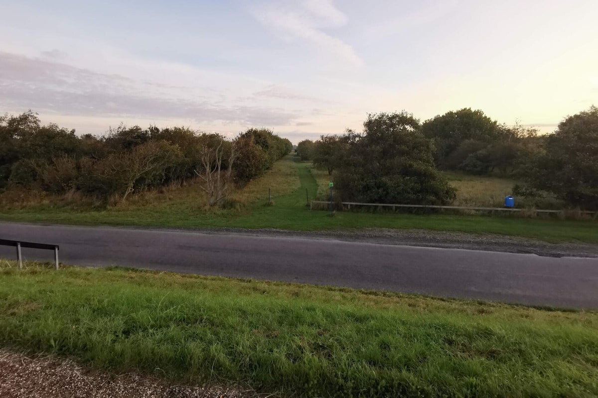 House | Miscellaneous