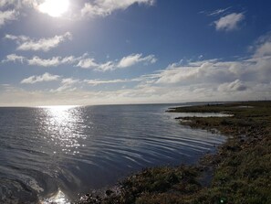 A coastal landscape with a calm sea reflecting sunlight, grassy areas, and a distant shoreline.