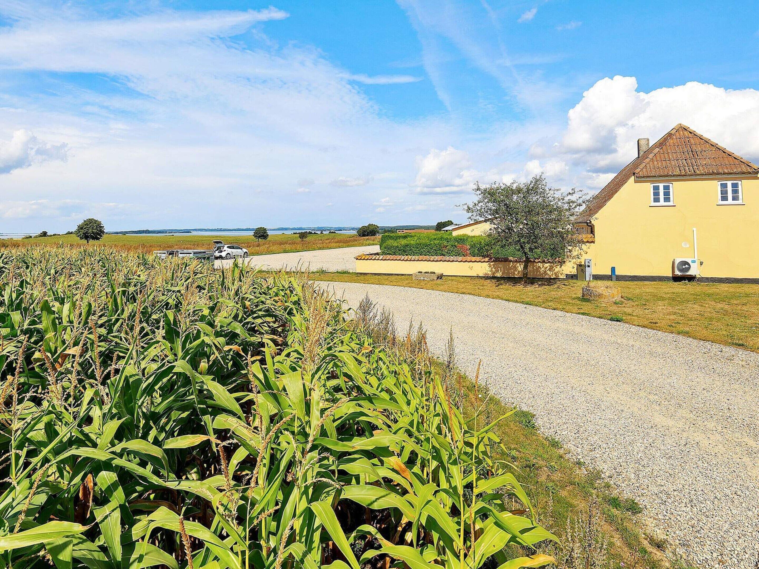 Apartment | Property grounds