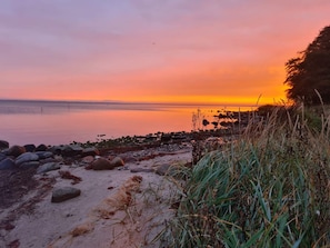 Ein Strand mit felsigem Ufer und spärlicher Vegetation.