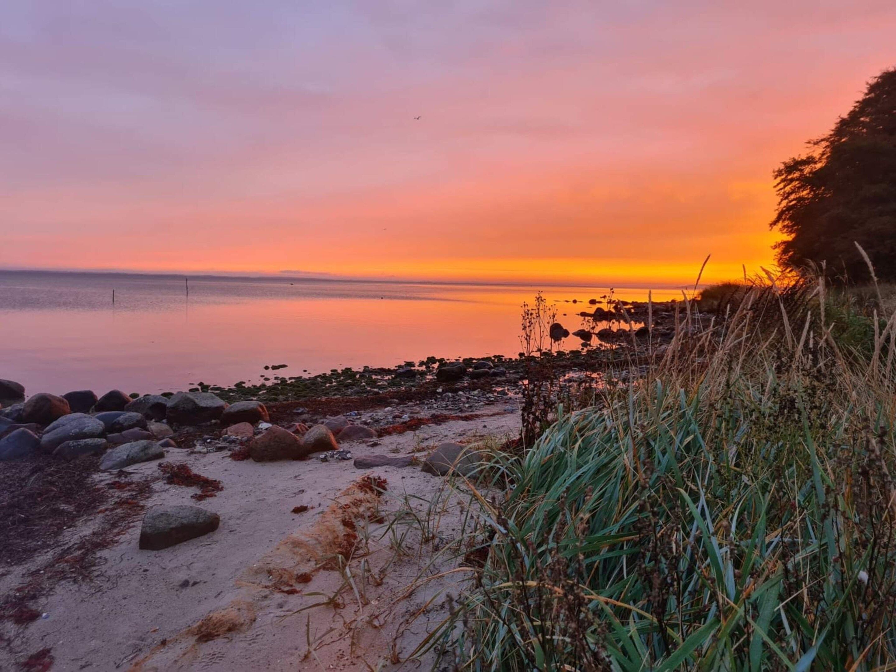 En strand med en klippefyldt kystlinje og sparsom vegetation.