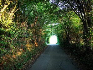 Apartment | Verschiedenes