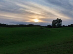 A wide-open field with a single tree and a clear sky. - 4 Star Holiday Home in Hejls (Hejls)