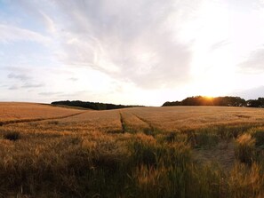 Apartment | Verschiedenes