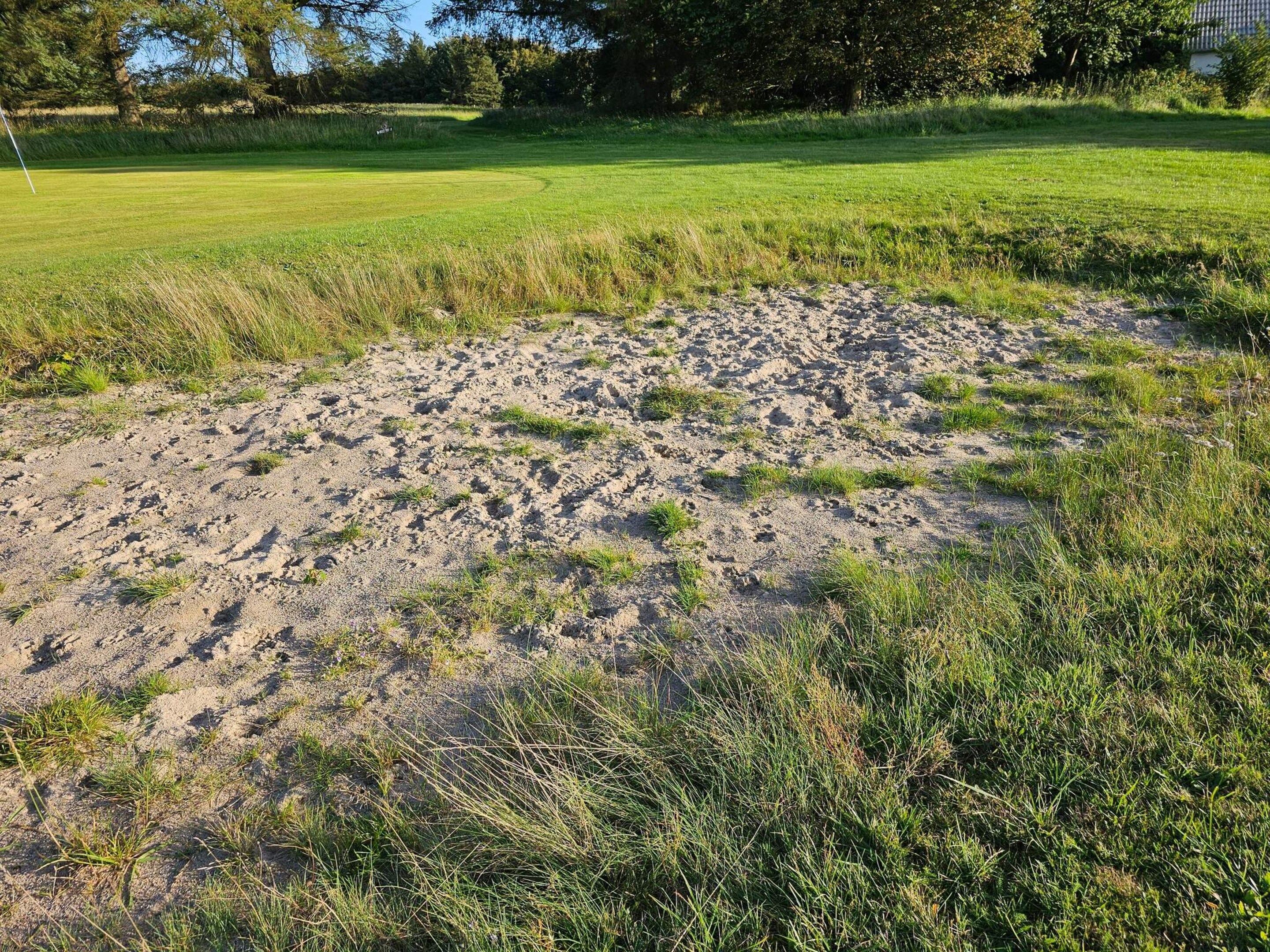 A sandy area with sparse grass and a golf course in the background.