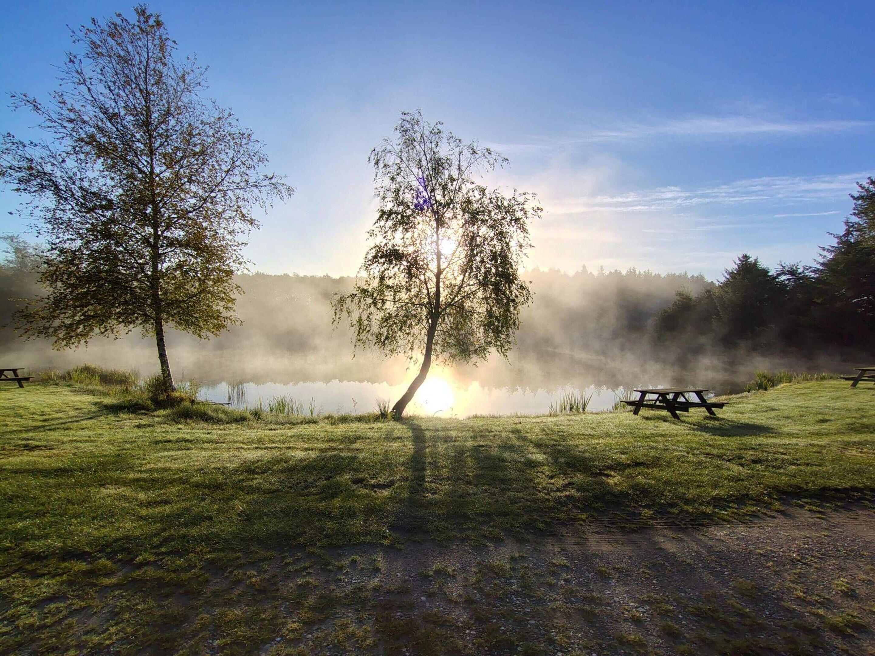 A serene lakeside picnic area with benches and a clear sky.