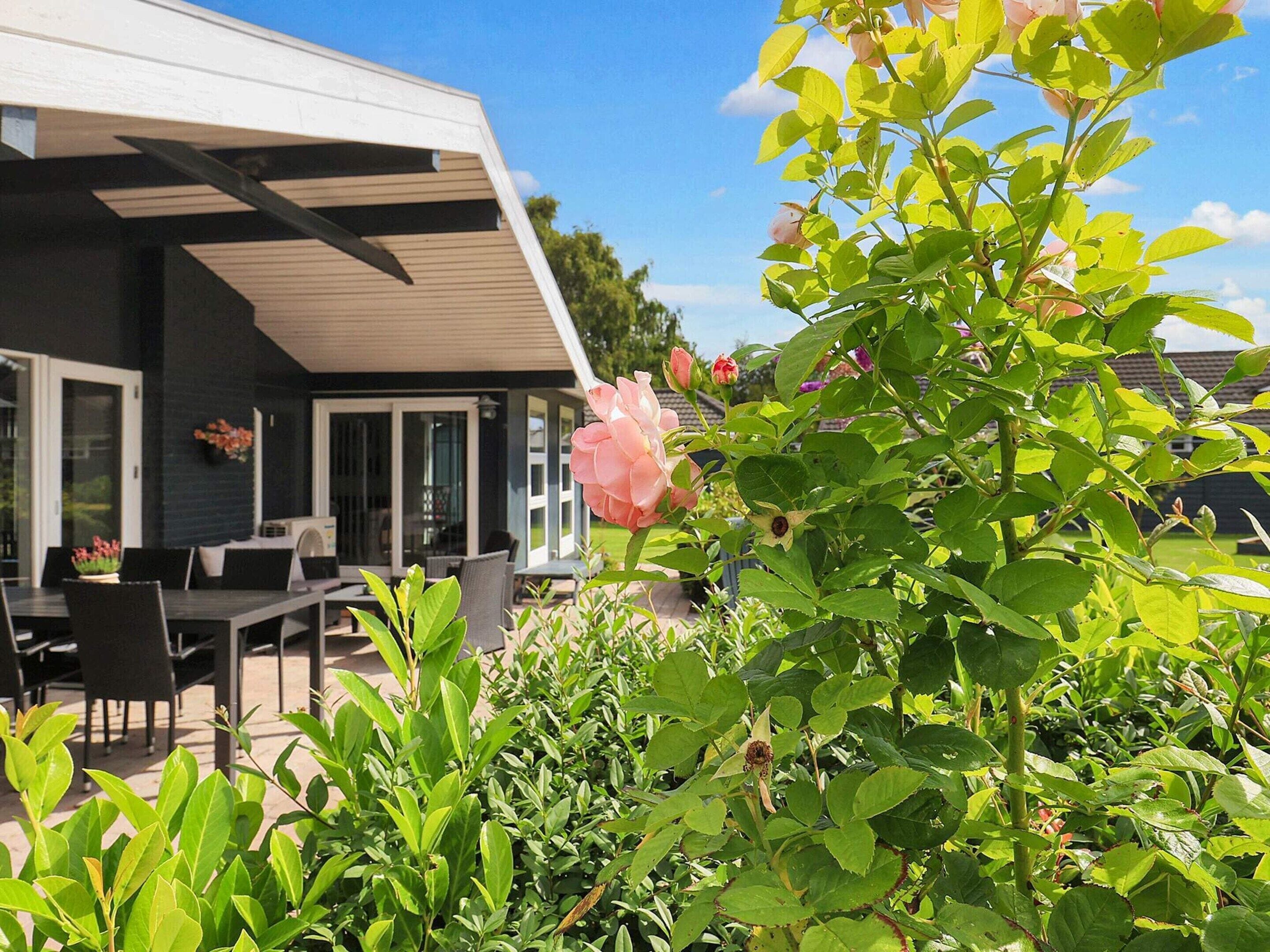 House | View from property